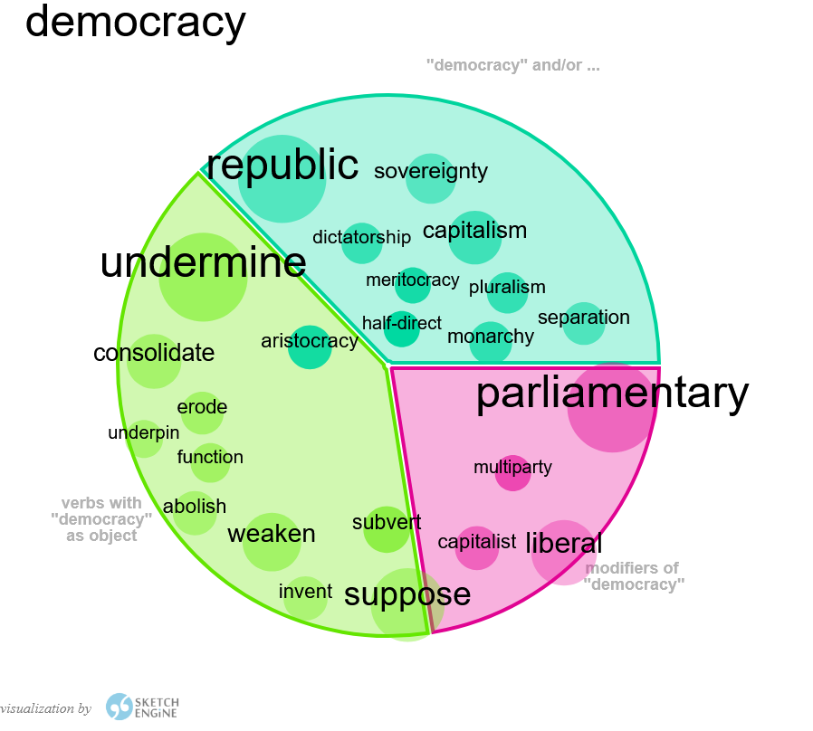 Profilo lessicale di “representative democracy” nel XXI secolo .
