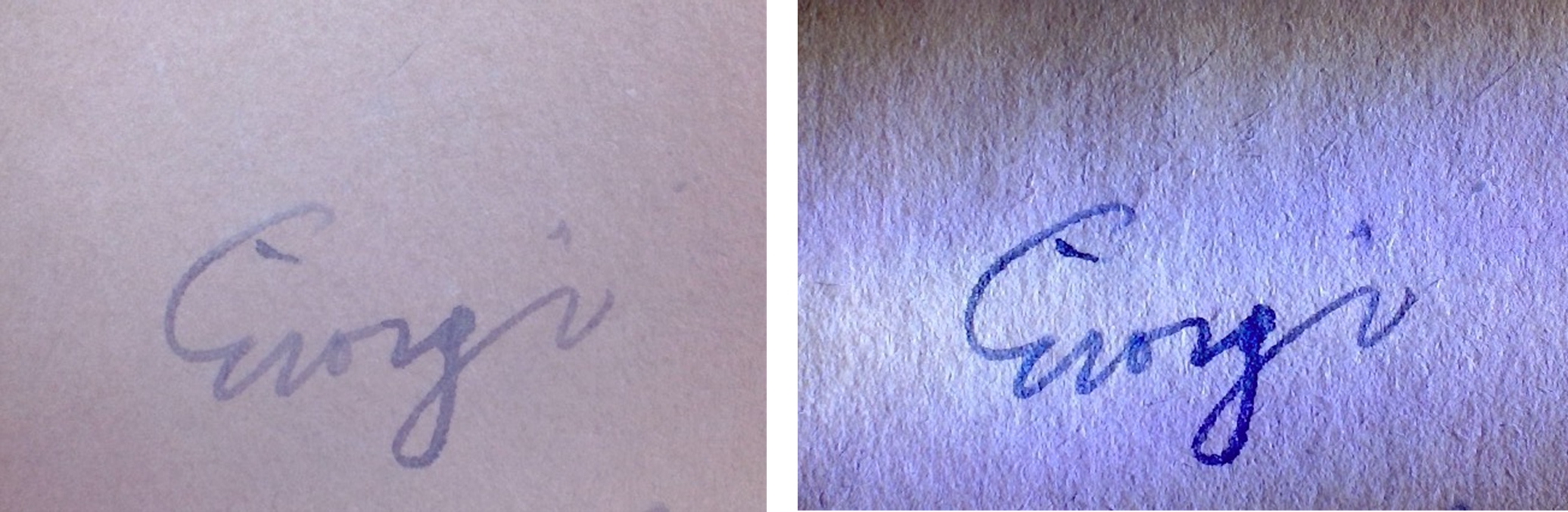 Riprese effettuata con il Microscopio MSM con luce naturale e con luce radente della firma dell'autore apposta sul Quaderno A del Manoscritto del Giardino dei Finzi Contini (Biblioteca Ariostea, Ferrara).