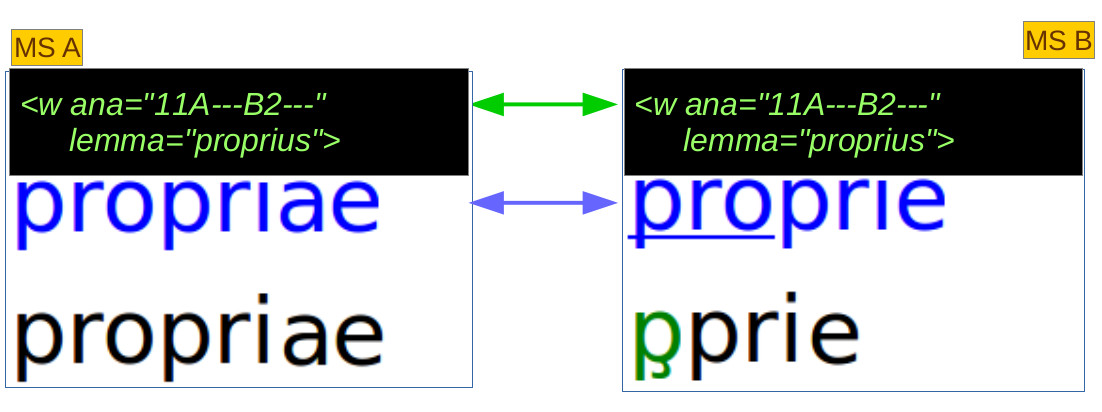 Esempio di collazione di più testimoni