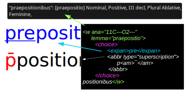 Codifica XML/TEI del livello linguistico