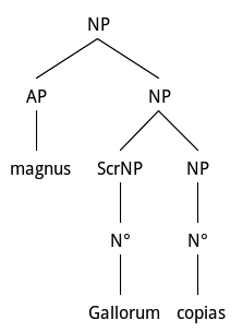 Tree structure of a Latin hyperbaton