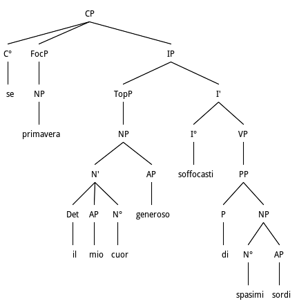 Anastrophe and fronting of Subject NP and Object NP from VP