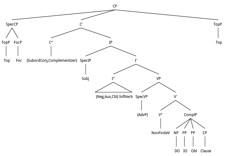 Tree representation of Topic Focus according to X-Bar theory and Complement syntax