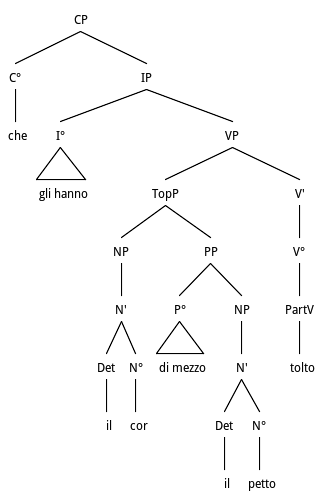 Anastrophe and Hyperbaton fronting of Object NP and Oblique PP from VP – the auxiliary is separated from past participle main verb