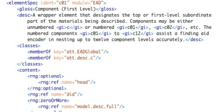 Example of the ODD specification for an EAD element